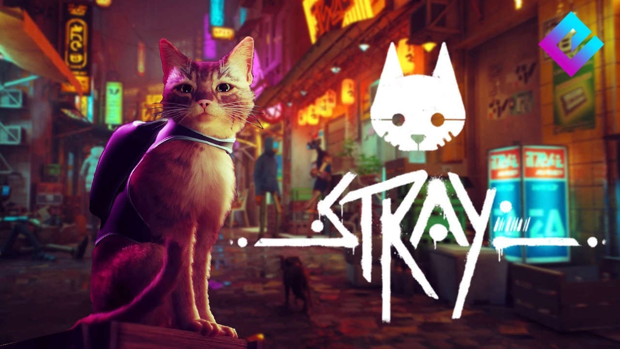 Stray